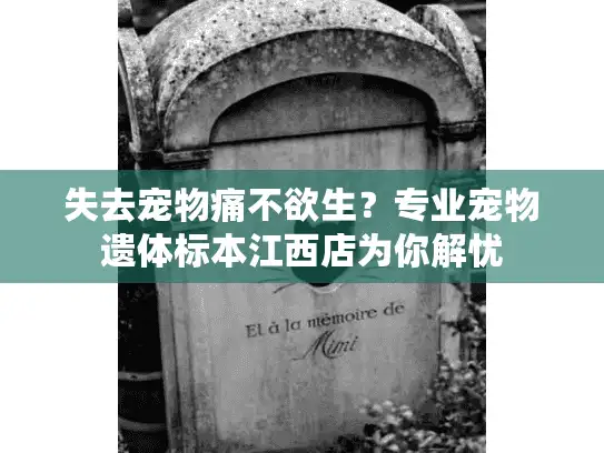 失去宠物痛不欲生？专业宠物遗体标本江西店为你解忧