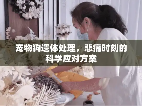 宠物狗遗体处理，悲痛时刻的科学应对方案