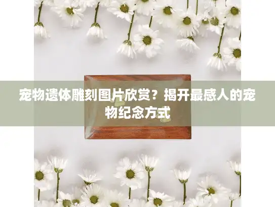 宠物遗体雕刻图片欣赏？揭开最感人的宠物纪念方式