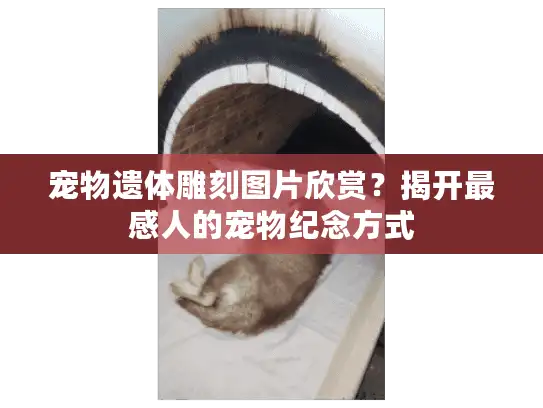 宠物遗体雕刻图片欣赏？揭开最感人的宠物纪念方式
