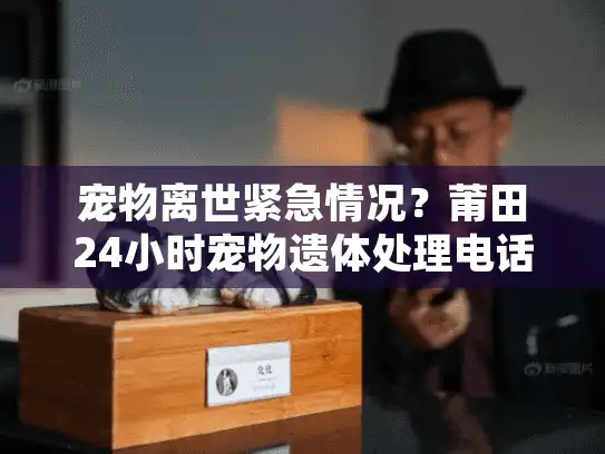 宠物离世紧急情况？莆田24小时宠物遗体处理电话助您行动