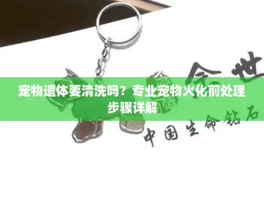 宠物遗体要清洗吗？专业宠物火化前处理步骤详解