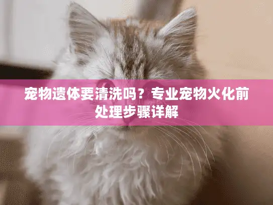 宠物遗体要清洗吗？专业宠物火化前处理步骤详解