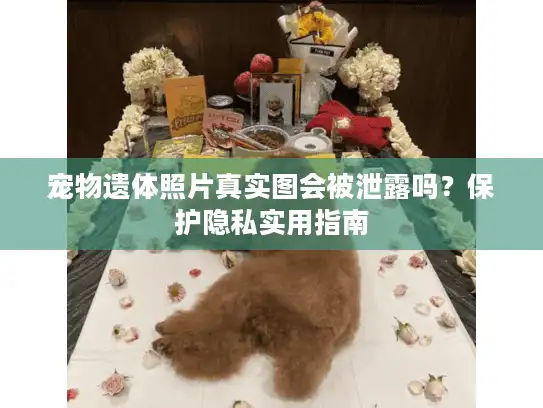 宠物遗体照片真实图会被泄露吗？保护隐私实用指南