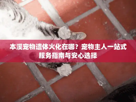 本溪宠物遗体火化在哪？宠物主人一站式服务指南与安心选择