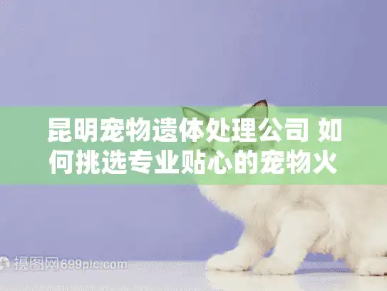 昆明宠物遗体处理公司 如何挑选专业贴心的宠物火化服务?