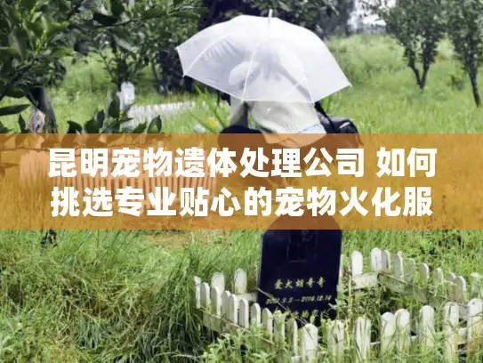 昆明宠物遗体处理公司 如何挑选专业贴心的宠物火化服务?