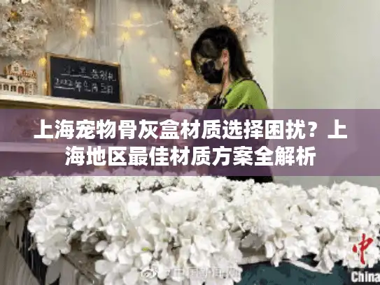上海宠物骨灰盒材质选择困扰？上海地区最佳材质方案全解析