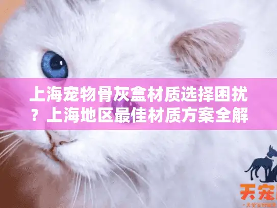 上海宠物骨灰盒材质选择困扰？上海地区最佳材质方案全解析