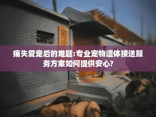 痛失爱宠后的难题:专业宠物遗体接送服务方案如何提供安心?