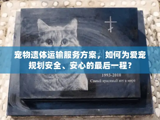 宠物遗体运输服务方案，如何为爱宠规划安全、安心的最后一程？