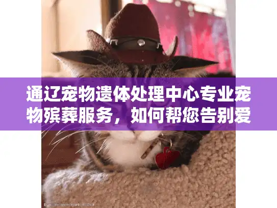通辽宠物遗体处理中心专业宠物殡葬服务，如何帮您告别爱宠？