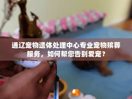 通辽宠物遗体处理中心专业宠物殡葬服务，如何帮您告别爱宠？