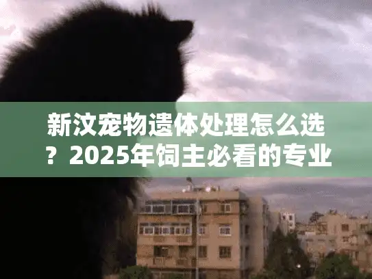 新汶宠物遗体处理怎么选？2025年饲主必看的专业告别指南