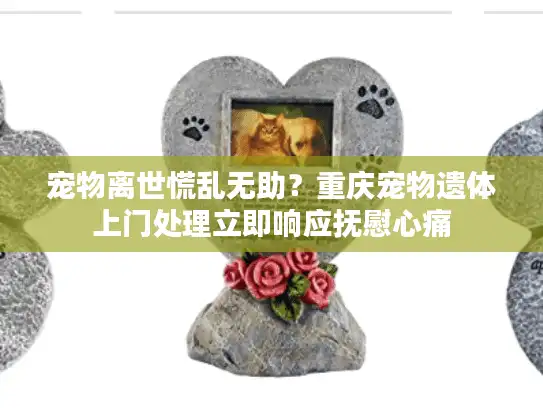 宠物离世慌乱无助？重庆宠物遗体上门处理立即响应抚慰心痛