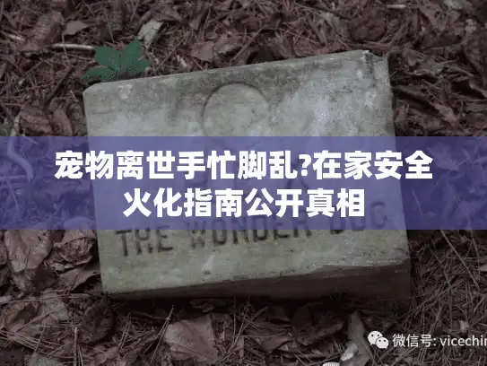 宠物离世手忙脚乱?在家安全火化指南公开真相