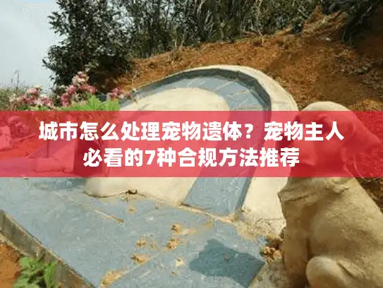 城市怎么处理宠物遗体？宠物主人必看的7种合规方法推荐