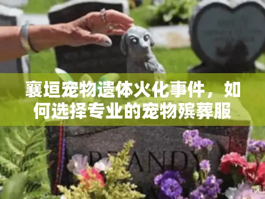 襄垣宠物遗体火化事件，如何选择专业的宠物殡葬服务提供商？