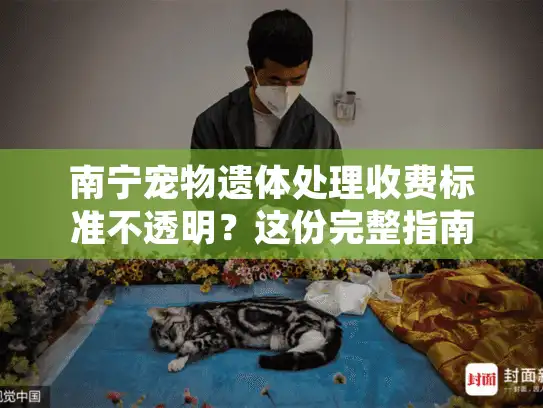 南宁宠物遗体处理收费标准不透明？这份完整指南让告别更安心