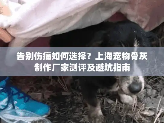 告别伤痛如何选择？上海宠物骨灰制作厂家测评及避坑指南