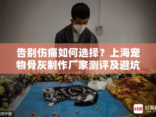 告别伤痛如何选择？上海宠物骨灰制作厂家测评及避坑指南