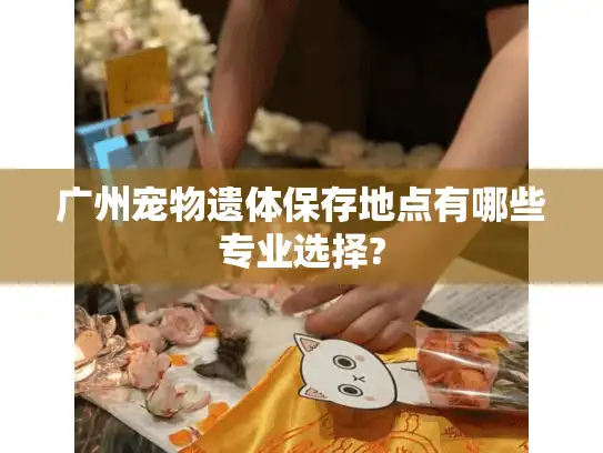 广州宠物遗体保存地点有哪些专业选择?