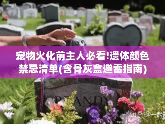宠物火化前主人必看!遗体颜色禁忌清单(含骨灰盒避雷指南)