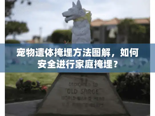 宠物遗体掩埋方法图解，如何安全进行家庭掩埋？