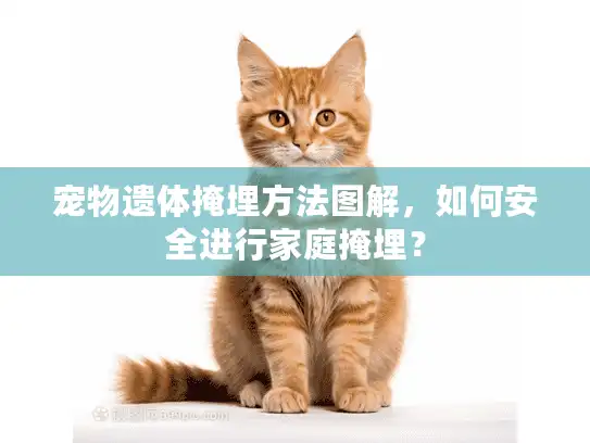 宠物遗体掩埋方法图解，如何安全进行家庭掩埋？