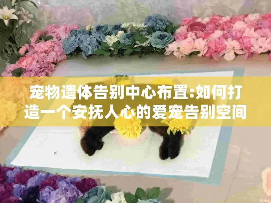 宠物遗体告别中心布置:如何打造一个安抚人心的爱宠告别空间?