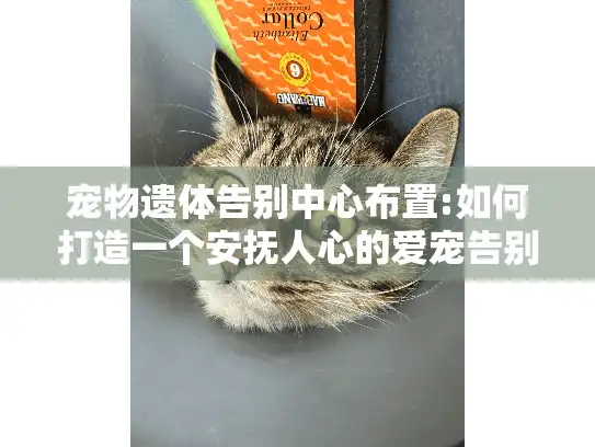 宠物遗体告别中心布置:如何打造一个安抚人心的爱宠告别空间?