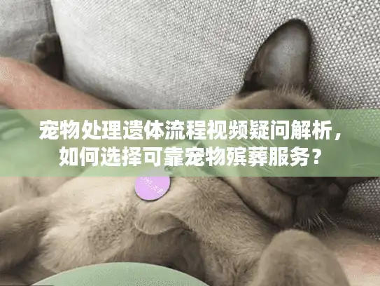 宠物处理遗体流程视频疑问解析，如何选择可靠宠物殡葬服务？