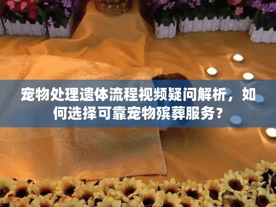 宠物处理遗体流程视频疑问解析，如何选择可靠宠物殡葬服务？