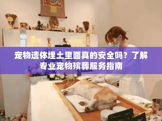 宠物遗体埋土里面真的安全吗？了解专业宠物殡葬服务指南