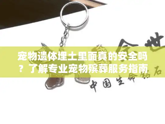 宠物遗体埋土里面真的安全吗？了解专业宠物殡葬服务指南