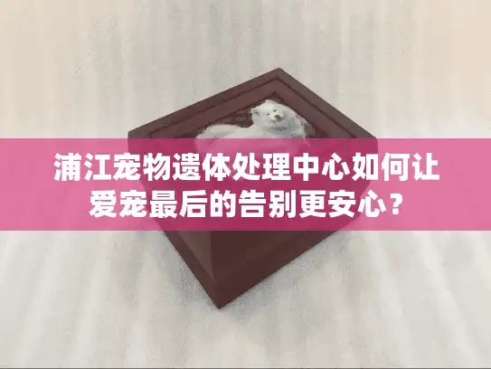 浦江宠物遗体处理中心如何让爱宠最后的告别更安心？