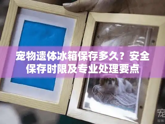 宠物遗体冰箱保存多久？安全保存时限及专业处理要点
