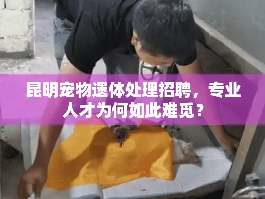 昆明宠物遗体处理招聘，专业人才为何如此难觅？