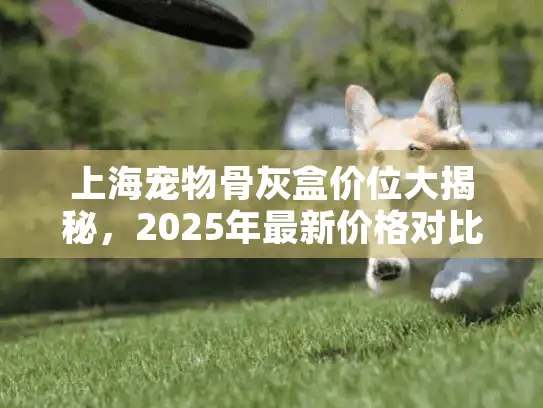 上海宠物骨灰盒价位大揭秘，2025年最新价格对比与省钱攻略