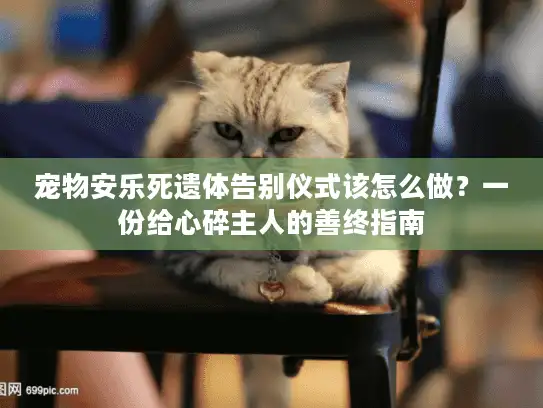 宠物安乐死遗体告别仪式该怎么做？一份给心碎主人的善终指南
