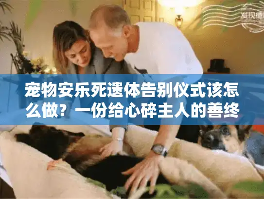 宠物安乐死遗体告别仪式该怎么做？一份给心碎主人的善终指南