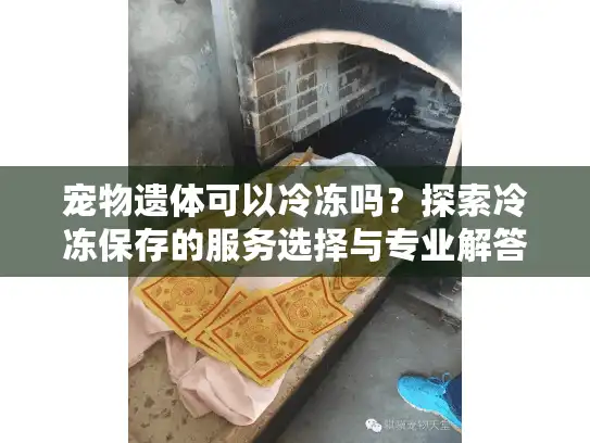 宠物遗体可以冷冻吗？探索冷冻保存的服务选择与专业解答