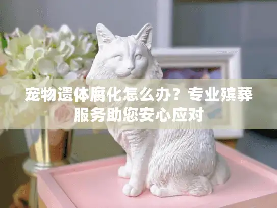 宠物遗体腐化怎么办？专业殡葬服务助您安心应对