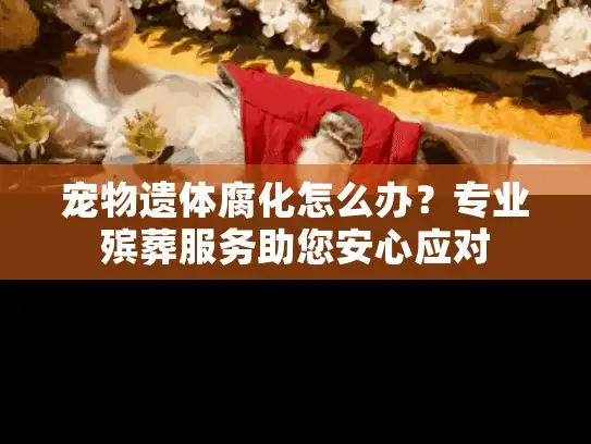 宠物遗体腐化怎么办？专业殡葬服务助您安心应对