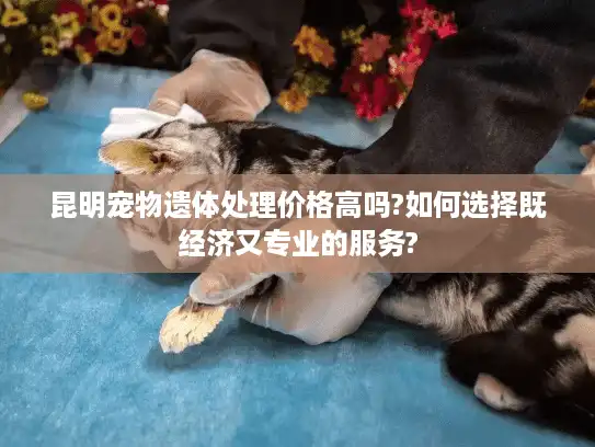 昆明宠物遗体处理价格高吗?如何选择既经济又专业的服务?