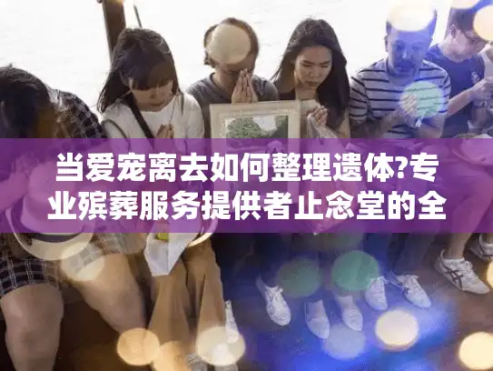 当爱宠离去如何整理遗体?专业殡葬服务提供者止念堂的全面指南