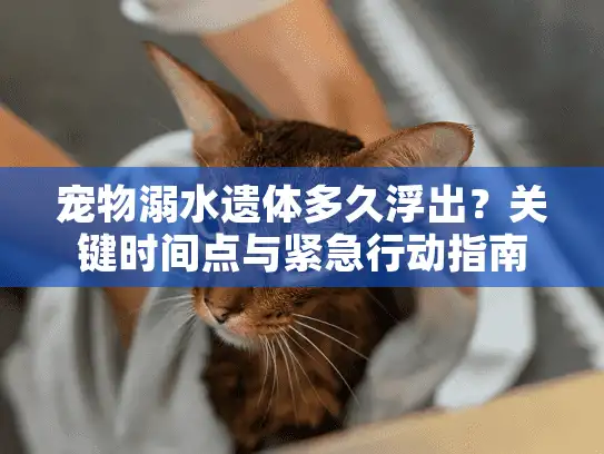 宠物溺水遗体多久浮出？关键时间点与紧急行动指南