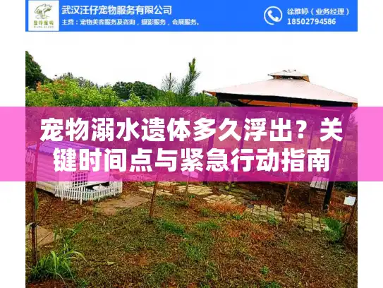 宠物溺水遗体多久浮出？关键时间点与紧急行动指南