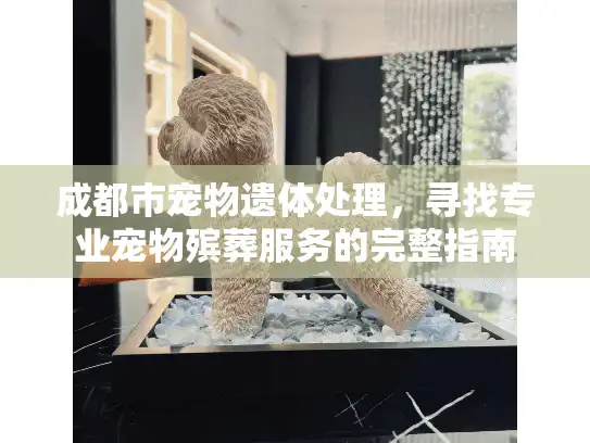 成都市宠物遗体处理，寻找专业宠物殡葬服务的完整指南