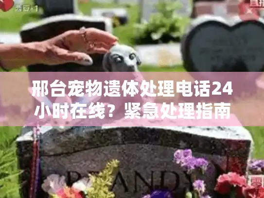 邢台宠物遗体处理电话24小时在线？紧急处理指南与避坑清单